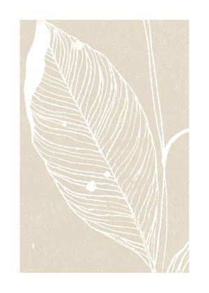 Neutral Plant 1 50x70