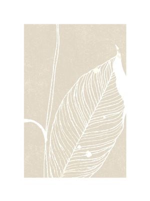 Neutral Plant 3 30x40