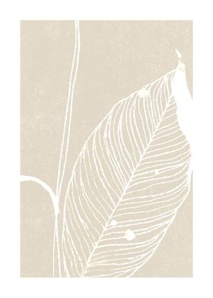 Neutral Plant 3 50x70