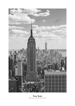 New York Photo