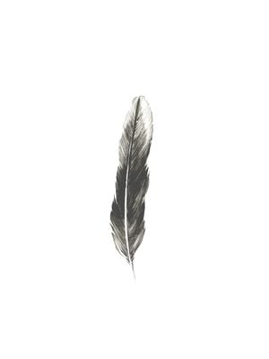 Oh Feather! 30x40
