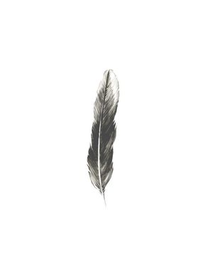 Oh Feather! 40x50