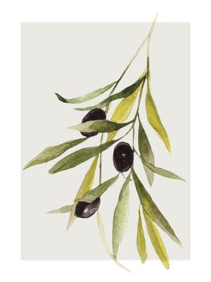 Olives 30x40