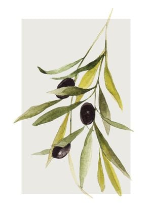 Olives