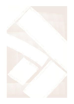 Order In Chaos 2 21x30