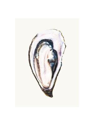 Oyster 30x40