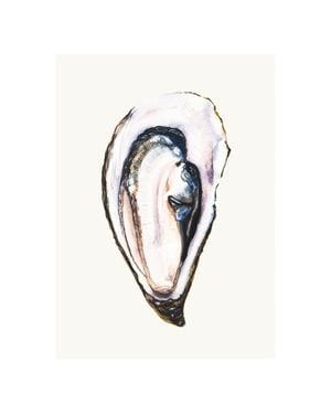Oyster 40x50
