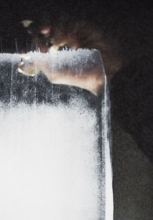 Paint On Print 70x100