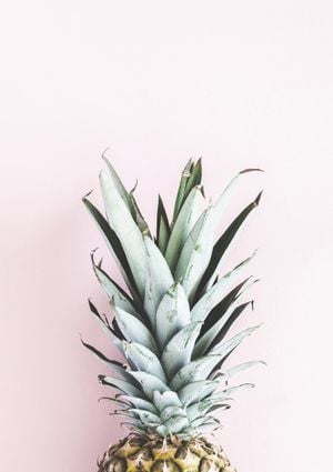 Pale Pineapple 21x30