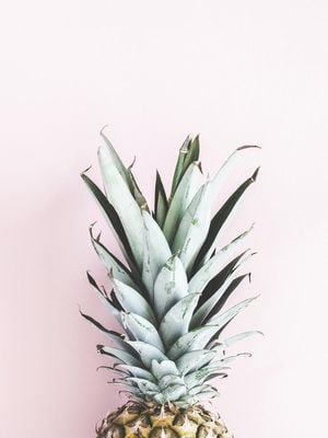 Pale Pineapple 30x40