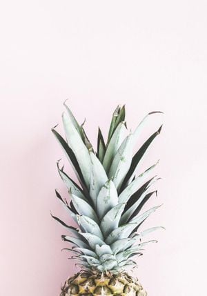 Pale Pineapple 70x100