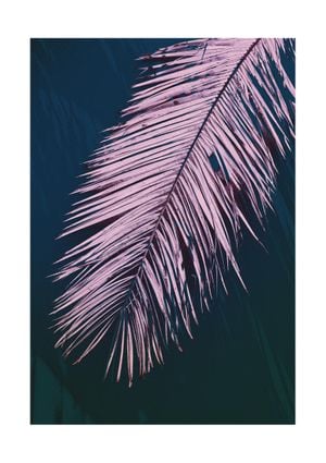 Palm Dark 21x30