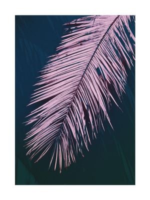 Palm Dark 30x40