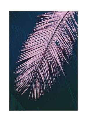 Palm Dark 50x70