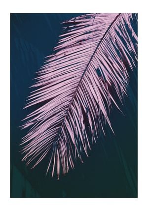 Palm Dark 70x100