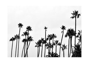 Palm Gathering 30x21