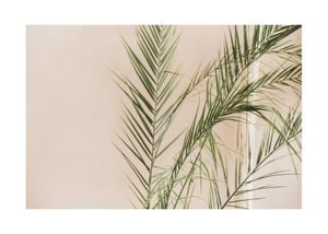 Palm Gold