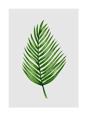 Palm Leaf Illustration 30x40