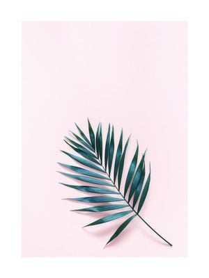 Palm On Pink 30x40