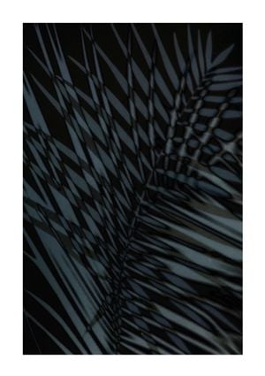 Palm Shadow Us 21x30