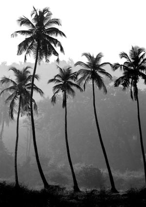 Palm Trees 21x30