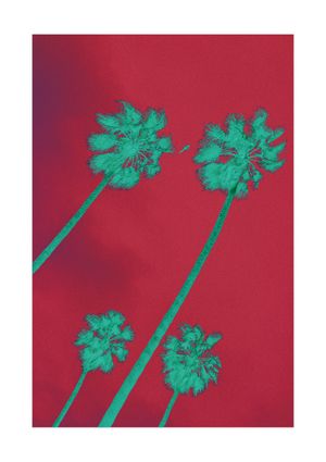 Palms Inverted 21x30