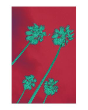 Palms Inverted 40x50
