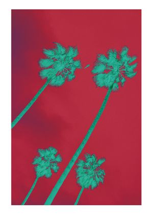 Palms Inverted 50x70