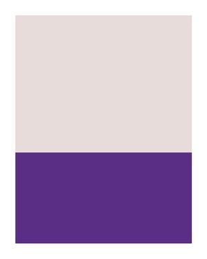 Pantone Swatch One 40x50