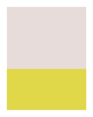 Pantone Swatch Three 40x50