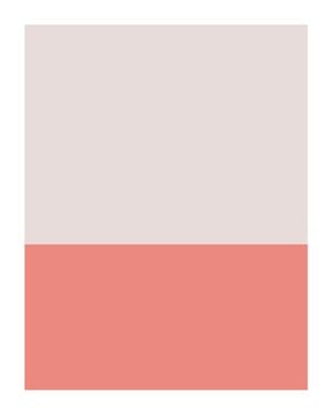 Pantone Swatch Two 40x50