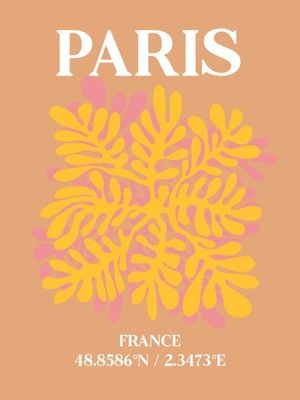 Paris Pattern 30x40