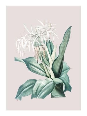 Pastel Botanic 2 30x40