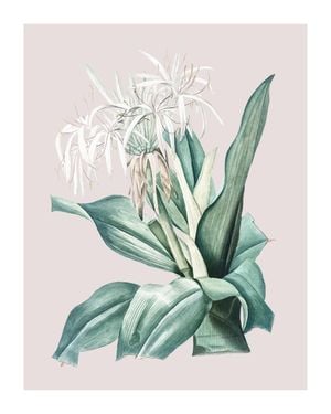 Pastel Botanic 2 40x50