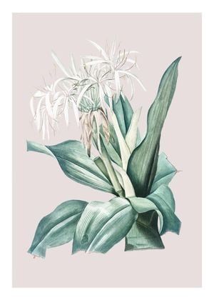 Pastel Botanic 2