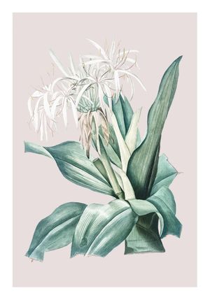 Pastel Botanic 2 70x100