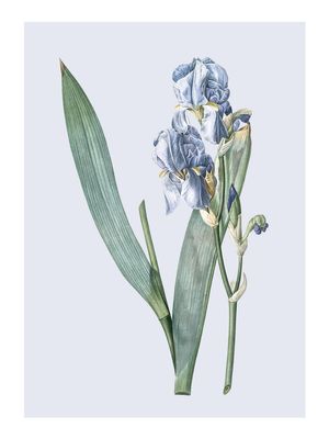 Pastel Botanic 3 30x40