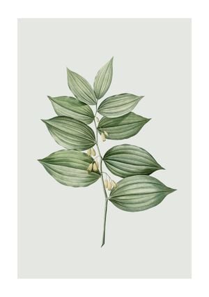 Pastel Botanic 4 21x30