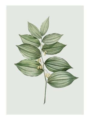 Pastel Botanic 4 30x40