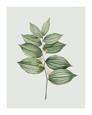 Pastel Botanic 4 40x50