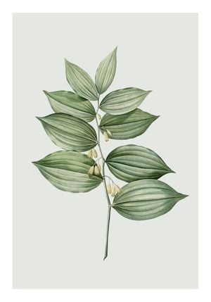 Pastel Botanic 4 70x100