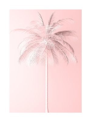 Pastel Palm 30x40