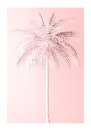 Pastel Palm 70x100