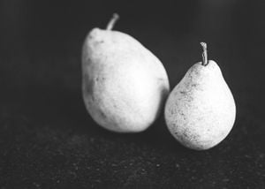 Pear Portrait