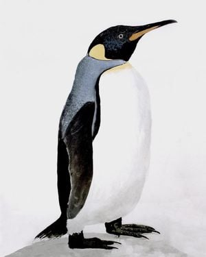 Penguin Illustration 40x50