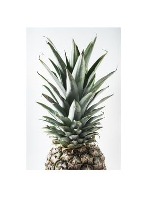 Pineapple Photo 30x40