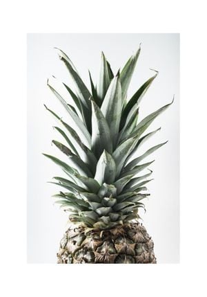 Pineapple Photo 70x100