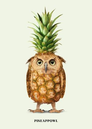 Pineappowl 30x40