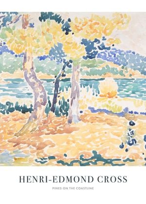 Pines On The Coastline
