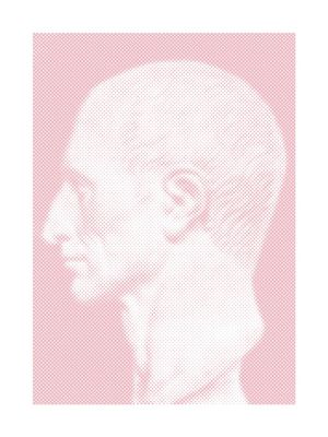 Pink Ceasar 30x40